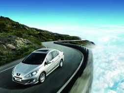 大同标致汽车零配件服务指南